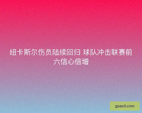 纽卡斯尔伤员陆续回归 球队冲击联赛前六信心倍增
