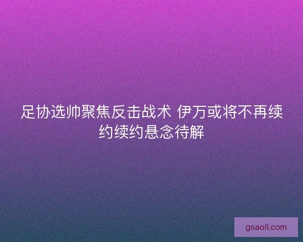 足协选帅聚焦反击战术 伊万或将不再续约续约悬念待解