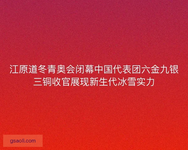 江原道冬青奥会闭幕中国代表团六金九银三铜收官展现新生代冰雪实力 江原道冬青奥会闭幕中国代表团六金九银三铜收官展现新生代冰雪实力