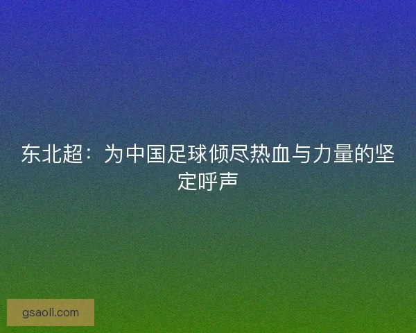 东北超:为中国足球倾尽热血与力量的坚定呼声 东北超:为中国足球倾尽热血与力量的坚定呼声