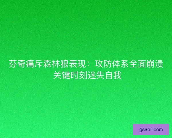 芬奇痛斥森林狼表现：攻防体系全面崩溃 关键时刻迷失自我