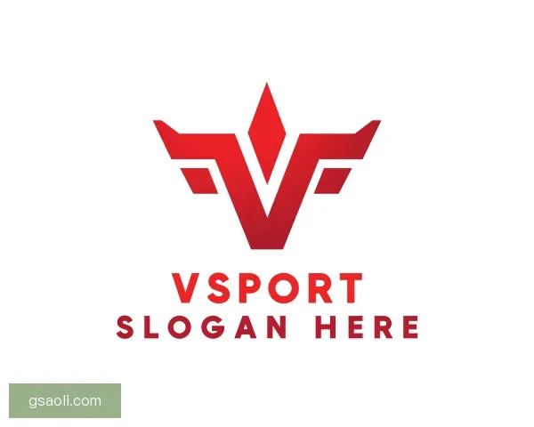 知道VSport